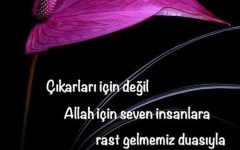 2374045_d56344c8bcc9dfa5e916f8417934bf44