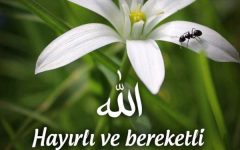 Hayırlı Cumalar